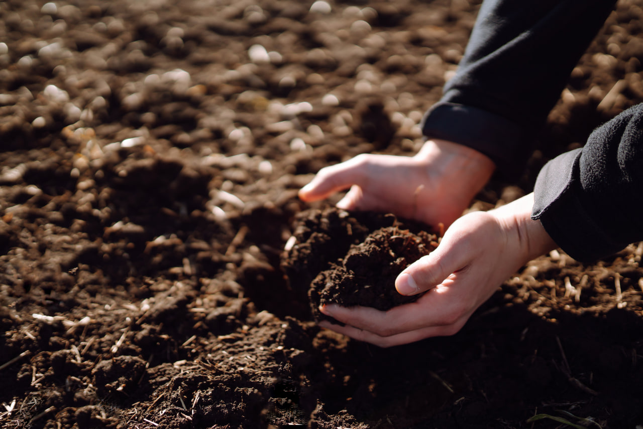 Soil Application Method